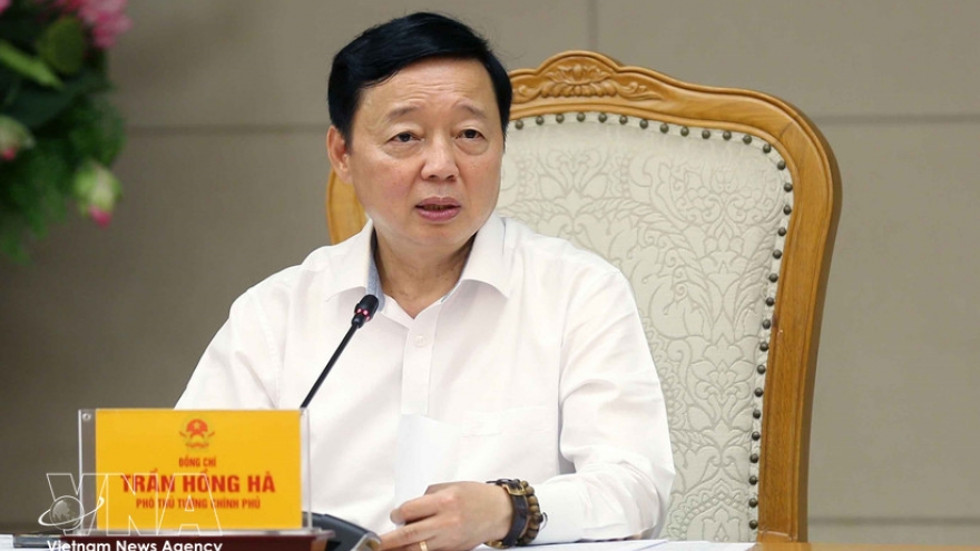 Vietnam steps up crackdown on IUU fishing, implementation of EC recommendations